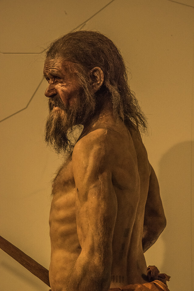 Ötzi, Die Mumie aus dem Eis