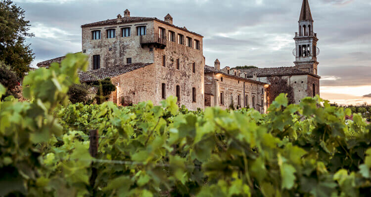 Masciarelli Winery