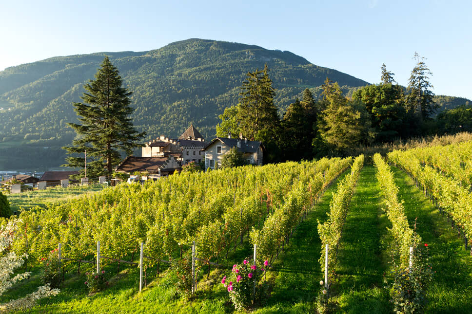 Vinum Hotel Schloss Plars