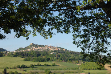 Bertinoro