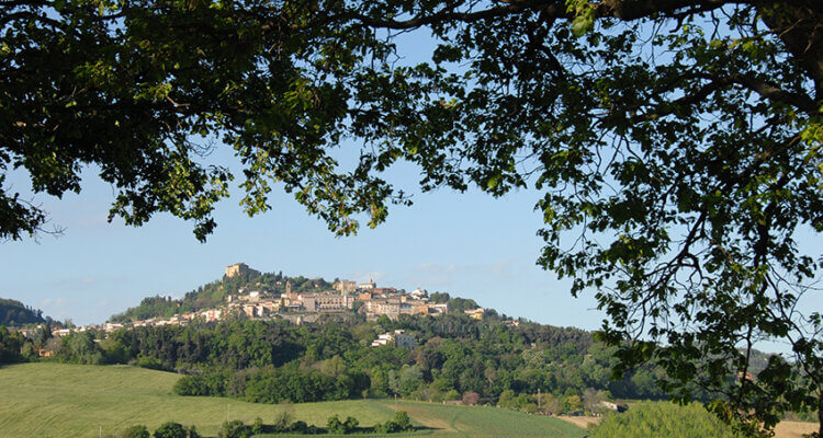 Bertinoro