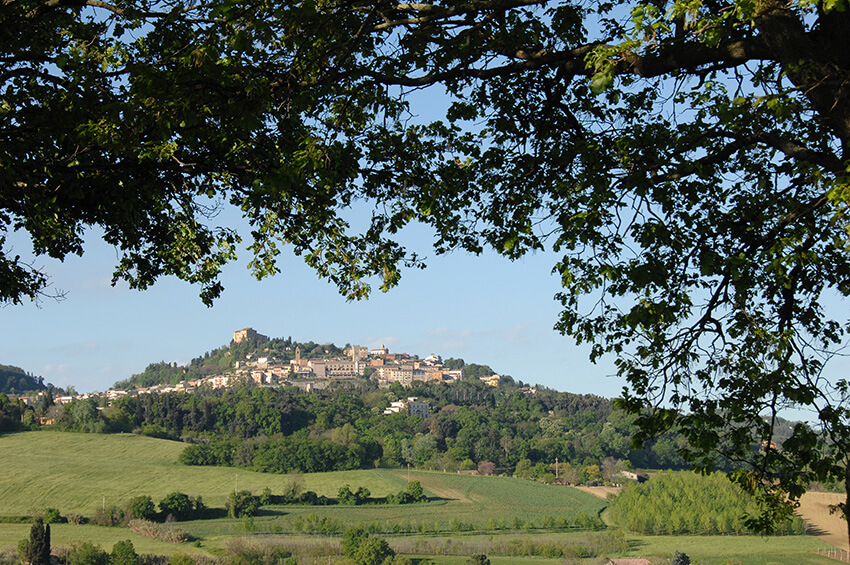 Bertinoro
