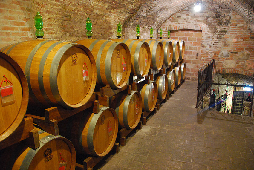 Winery Tuscany