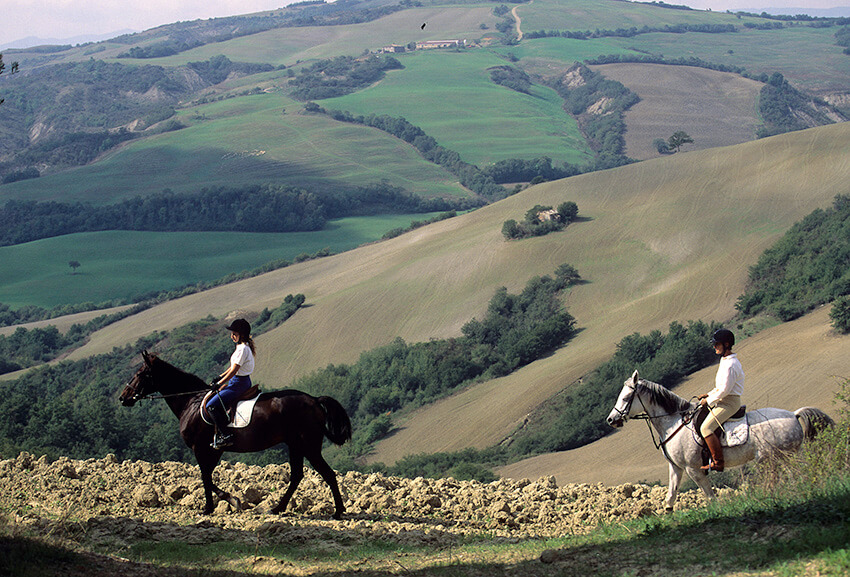 Reiten