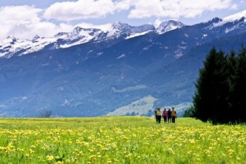 Blühende Alpen Trentino