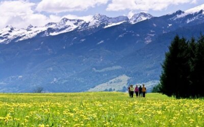 Blühende Alpen Trentino