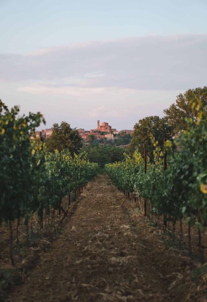 Weingut im Borgo San Vincenzo