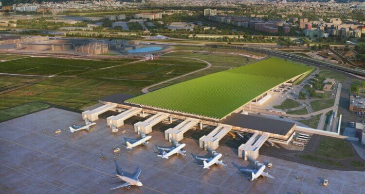 Florence airport vineyard