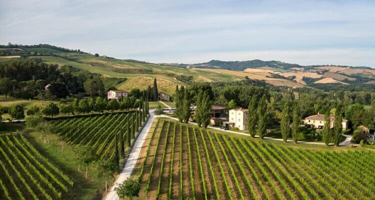 Urbino Resort