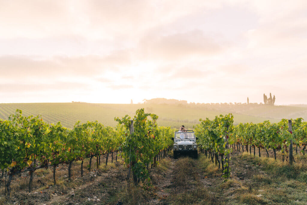 Vallepicciola Winery Wine Safari Experience